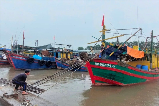 Hải Phòng: Các hoạt động trên biển trở lại hoạt động bình thường