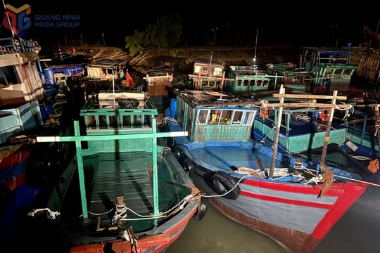 Quảng Ninh: Đặc khu Vân Đồn ứng phó kịp thời trước cơn bão số 11