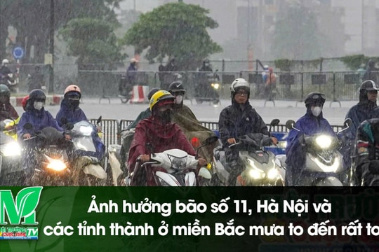 [VIDEO] Ảnh hưởng bão số 11, Hà Nội và các tỉnh thành ở miền Bắc mưa to đến rất to
