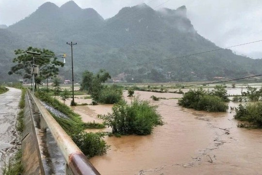 Lũ sông Cầu vượt mức lịch sử hơn 1m, nhiều địa phương Bắc Bộ ngập sâu trong nước