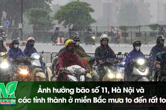 [VIDEO] Mưa lũ dồn dập tại các tỉnh miền Bắc: Cấp bách triển khai các biện pháp ứng phó
