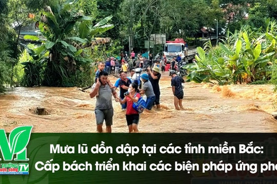 [VIDEO] Mưa lũ dồn dập tại các tỉnh miền Bắc: Cấp bách triển khai các biện pháp ứng phó