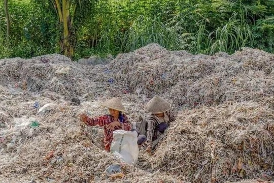 Anh: Xuất khẩu rác thải nhựa tăng 84%
