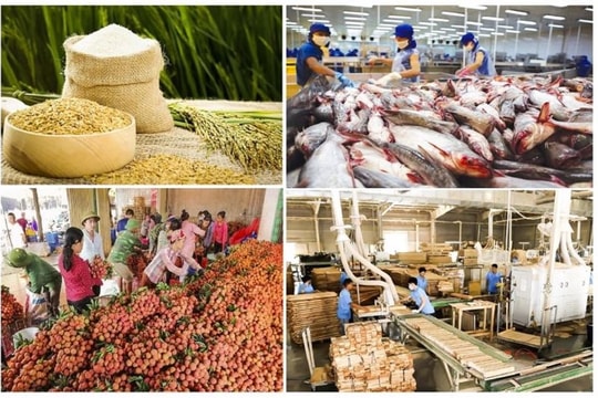 Cải cách chính sách thuế để giữ vững vị thế hàng nông sản Việt trên thị trường thế giới