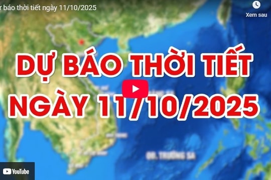 Dự báo thời tiết ngày 11/10/2025: Mưa về đêm ở một vài khu vực