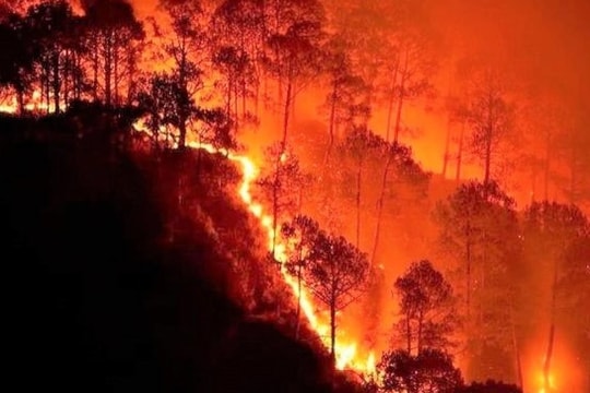 Ô nhiễm không khí do cháy rừng có thể khiến bão ở Đông Nam Á mạnh hơn