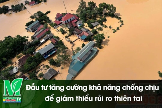 [VIDEO] Đầu tư tăng cường khả năng chống chịu để giảm thiểu rủi ro thiên tai