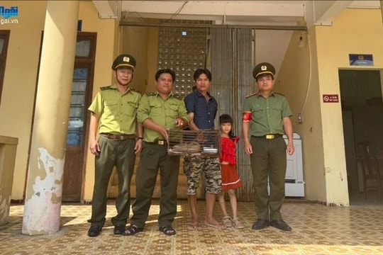 Người dân Quảng Ngãi phát hiện, giao nộp hai cá thể tê tê vàng quý hiếm