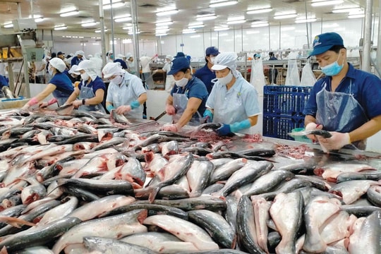 Vinafis Expo 2026: Bước tiến mới đưa thủy sản Việt Nam vươn ra toàn cầu