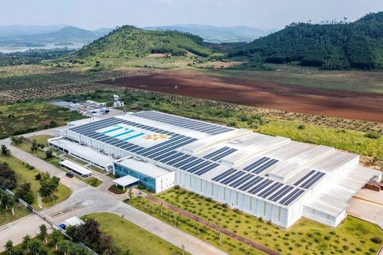 Đo lường phát thải và lưu trữ carbon - hướng đi chiến lược cho nông nghiệp bền vững