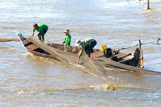 Cuối tháng 10, nguy cơ nước lũ từ sông Mê Kông đổ về, ĐBSCL cần chủ động ứng phó