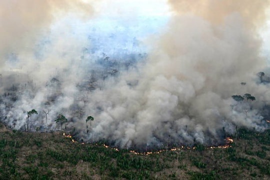 Nồng độ CO₂ toàn cầu đạt đỉnh kỷ lục, WMO cảnh báo “vòng xoáy khí hậu”