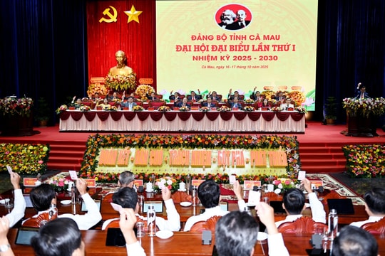Cà Mau: Xác định kinh tế nông nghiệp đóng vai trò then chốt trong việc phát triển nông nghiệp xanh, hiện đại và bền vững