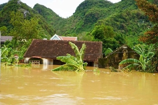Đắk Lắk đề nghị Trung ương hỗ trợ hơn 213 tỷ đồng khắc phục thiệt hại do thiên tai