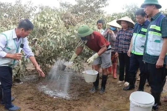 Hỗ trợ người dân Bắc Ninh khôi phục sản xuất sau mưa lũ
