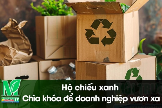 [VIDEO] “Hộ chiếu xanh – Chìa khóa để doanh nghiệp vươn xa”