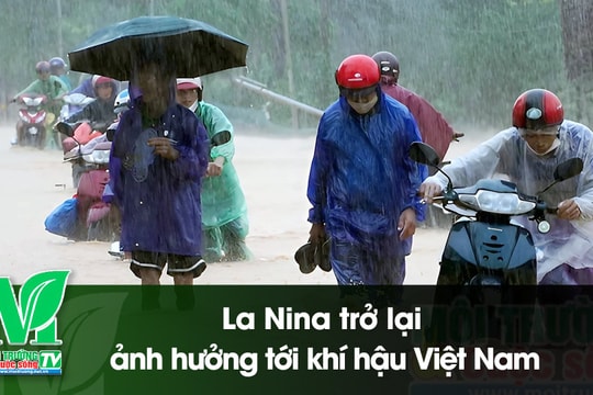[VIDEO] La Nina trở lại, ảnh hưởng tới khí hậu Việt Nam