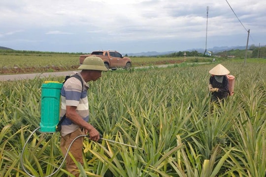 Thay đổi cây trồng - Giải pháp sống còn cho nông nghiệp Nghệ An trước biến đổi khí hậu