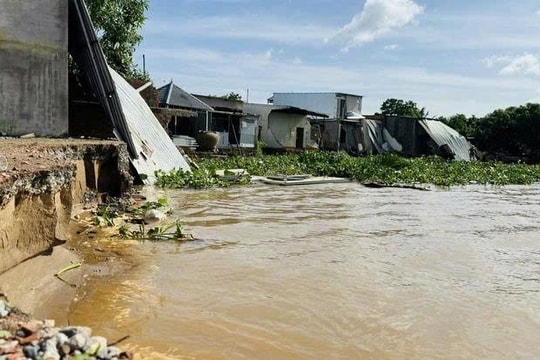 Đồng Tháp khẩn trương triển khai hai công trình chống sạt lở bờ sông Tiền