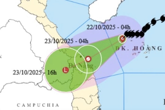 Bão số 12 cách Đà Nẵng 310km, gây mưa rất to và gió mạnh trên diện rộng