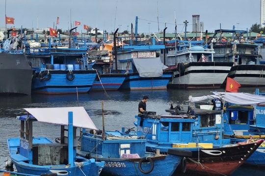Phòng lũ lớn, Đà Nẵng kêu gọi người dân trữ lương thực