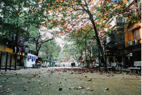 Dự báo thời tiết Hà Nội ngày 23/10/2025: Ngày nhiều mây, đêm và sáng trời lạnh