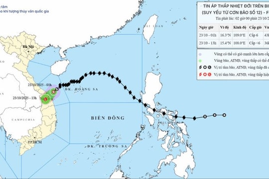 Bão số 12 suy yếu, hướng về đất liền từ Đà Nẵng đến Quảng Ngãi