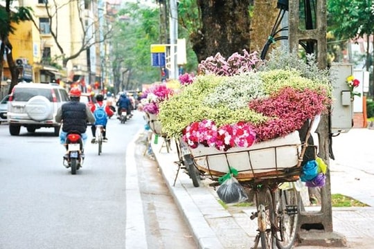 Dự báo thời tiết Hà Nội ngày 25/10/2025: Nhiều mây, có mưa vài nơi, ngày lạnh