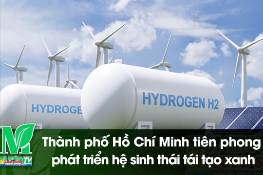 [VIDEO] Thành phố Hồ Chí Minh tiên phong phát triển hệ sinh thái tái tạo xanh
