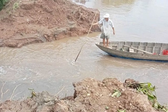 Vỡ đê bao tại cồn Thanh Long, hàng chục hecta vườn cây bị ngập nặng