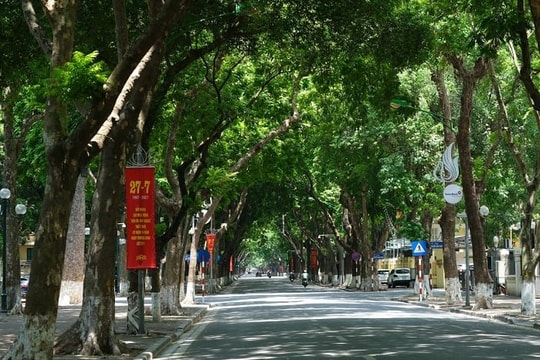 Dự báo thời tiết Hà Nội ngày 26/10/2025: Nhiều mây, không mưa, trời nắng Dự báo thời tiết Hà Nội ngày 26/10/2025: Nhiều mây, không mưa, trời nắng