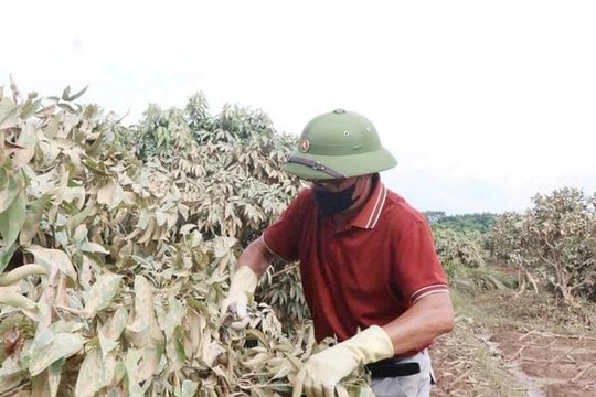 Chính phủ yêu cầu khẩn trương khắc phục hậu quả thiên tai sau bão số 11 Chính phủ yêu cầu khẩn trương khắc phục hậu quả thiên tai sau bão số 11