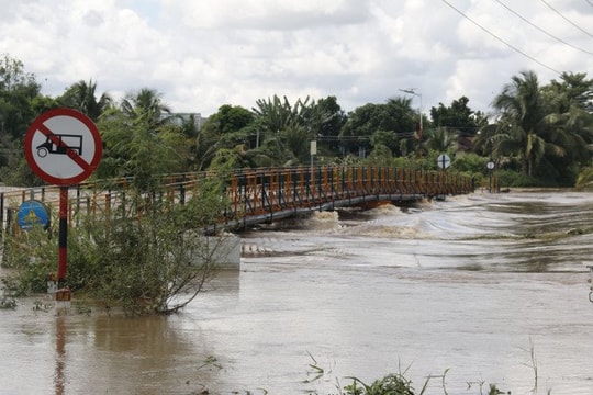 Mưa lớn gây ngập cục bộ, nhiều vườn thanh long thiệt hại nặng tại Lâm Đồng Mưa lớn gây ngập cục bộ, nhiều vườn thanh long thiệt hại nặng tại Lâm Đồng