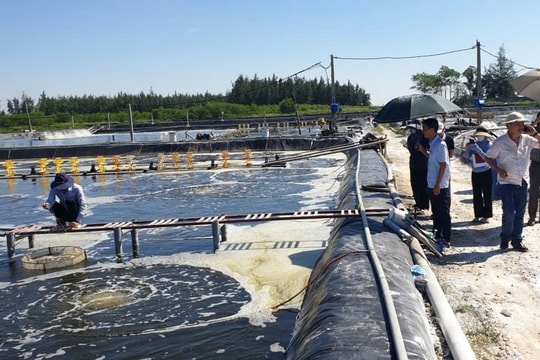 Nghệ An: Ứng dụng công nghệ sinh học trong sản xuất hướng tới nền nông nghiệp xanh, bền vững