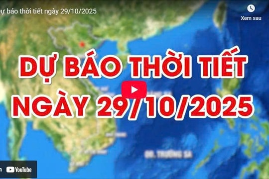 Dự báo thời tiết ngày 29/10/2025: Hà Nội đêm không mưa, ngày nắng Dự báo thời tiết ngày 29/10/2025: Hà Nội đêm không mưa, ngày nắng