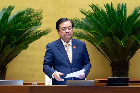 Bảo vệ môi trường cần tư duy hệ thống và hành động hệ thống Bảo vệ môi trường cần tư duy hệ thống và hành động hệ thống