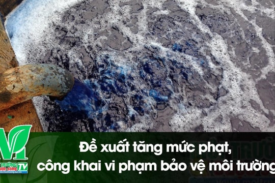[VIDEO] Đề xuất tăng mức phạt, công khai vi phạm bảo vệ môi trường