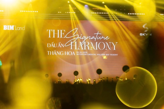 “Dấu ấn thăng hoa” của SkyM: gần 100% có chủ sở hữu sau 5 tháng “Dấu ấn thăng hoa” của SkyM: gần 100% có chủ sở hữu sau 5 tháng