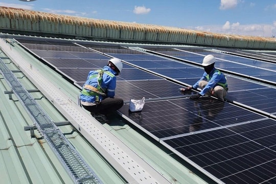 LTP cắt giảm gần 482 tấn CO₂ mỗi năm nhờ hệ thống điện mặt trời LTP cắt giảm gần 482 tấn CO₂ mỗi năm nhờ hệ thống điện mặt trời