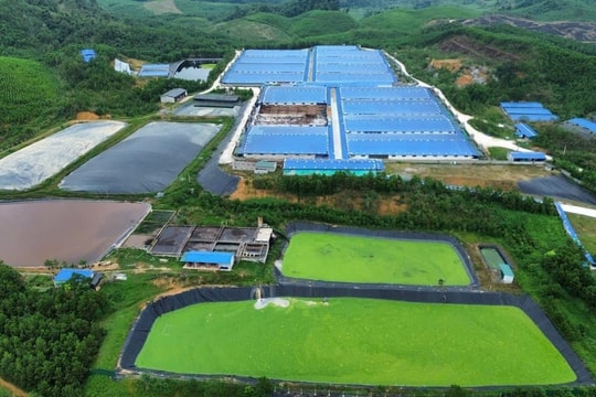 Thanh Hóa: Trang trại đốt xác lợn chết lộ thiên bị yêu cầu dừng hoạt động do gây ô nhiễm môi trường Thanh Hóa: Trang trại đốt xác lợn chết lộ thiên bị yêu cầu dừng hoạt động do gây ô nhiễm môi trường