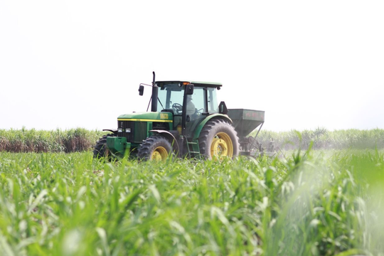 Một số chính sách nông nghiệp và môi trường có hiệu lực từ tháng 11/2025