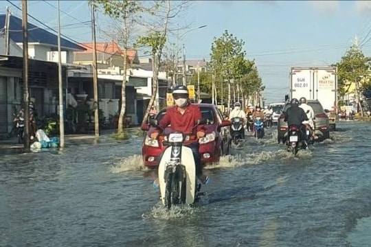 Cà Mau vận hành hơn 300 cống, đập ứng phó đợt triều cường dự báo vượt mức báo động 3