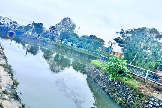 Ô nhiễm môi trường tại hào Thành cổ Vinh