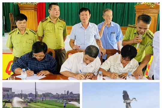 Loạt bài: Báo động nạn săn bắt chim di cư và mất cân bằng sinh thái vùng Bắc Trung Bộ