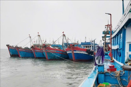 Nghệ An hoàn thành 100% đăng kiểm tàu cá, quyết tâm gỡ “thẻ vàng” IUU