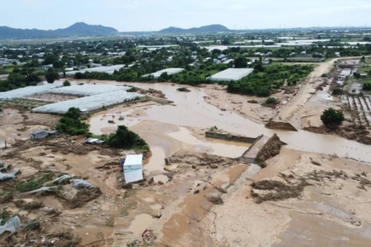 Lâm Đồng: Hồ chứa 900.000 m3 nước bị vỡ, không có giấy phép