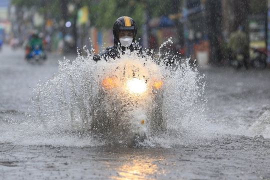 TP.HCM yêu cầu khẩn trương triển khai các phương án, biện pháp ứng phó bão Kalmaegi