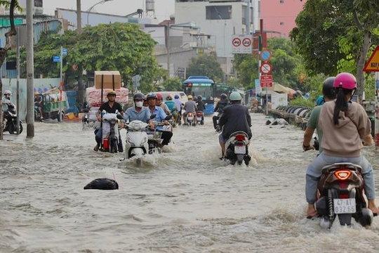TP.HCM cảnh báo đỉnh triều cường vượt mốc lịch sử, nhiều nơi nguy cơ ngập nặng