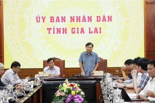 Gia Lai họp khẩn ứng phó bão Kalmaegi