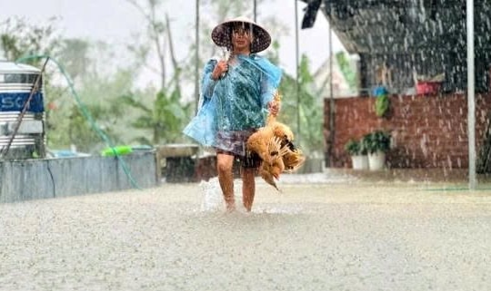 Trung Bộ mưa rất to, cảnh báo lũ quét, sạt lở đất và ngập lụt vùng thấp